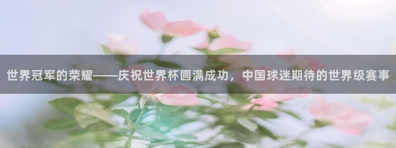 世界杯今年:世界冠军的荣耀——庆祝世界杯圆满成功,中国球迷期待的世界级赛事