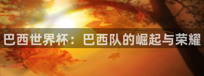 足球世界杯时间:巴西世界杯:巴西队的崛起与荣耀