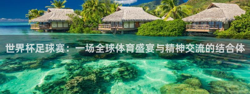 世界杯亚洲区预选赛:世界杯足球赛:一场全球体育盛宴与精神交流的结合体