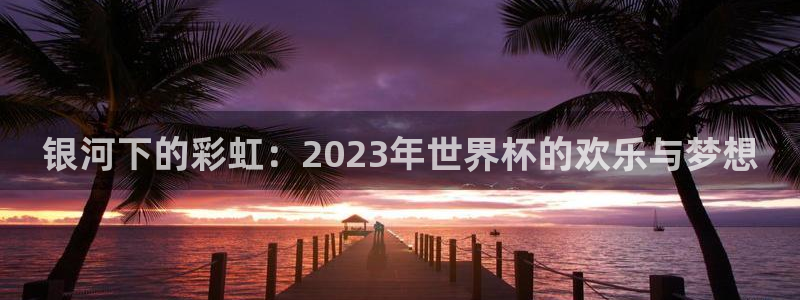 世界杯足球比赛:银河下的彩虹:2023年世界杯的欢乐与梦想