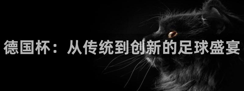 2026男足世界杯:德国杯:从传统到创新的足球盛宴