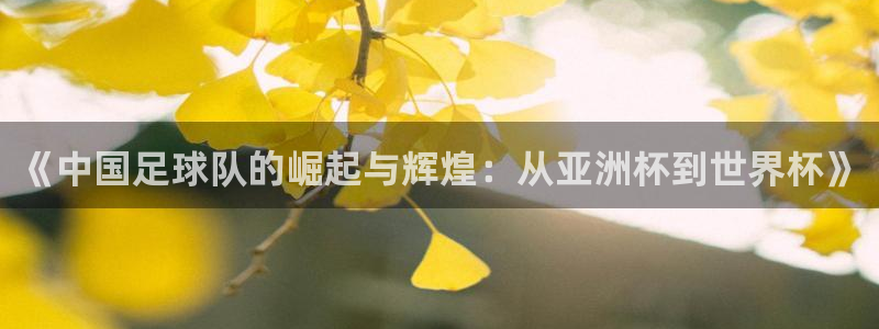 看世界杯:《中国足球队的崛起与辉煌:从亚洲杯到世界杯》