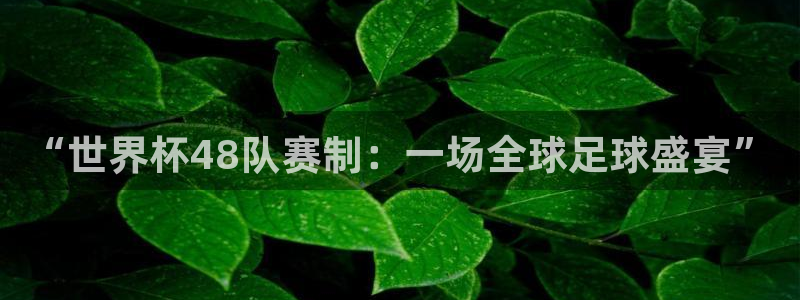 世界杯赛程时间表:“世界杯48队赛制:一场全球足球盛宴”