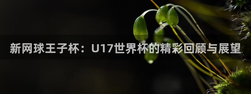 世界杯预选赛排名:新网球王子杯:U17世界杯的精彩回顾与展望