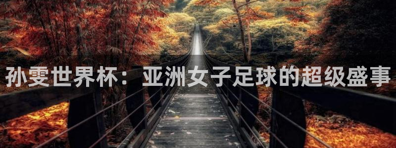 今年的世界杯:孙雯世界杯:亚洲女子足球的超级盛事