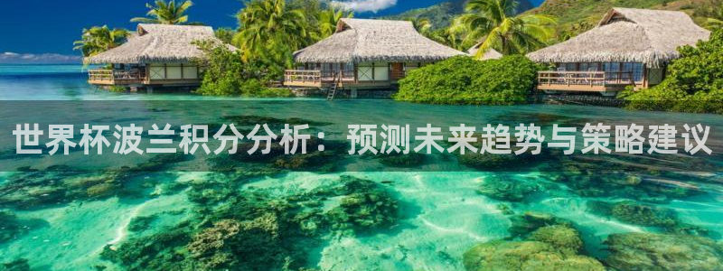 亚洲区世界杯预选赛:世界杯波兰积分分析:预测未来趋势与策略建议