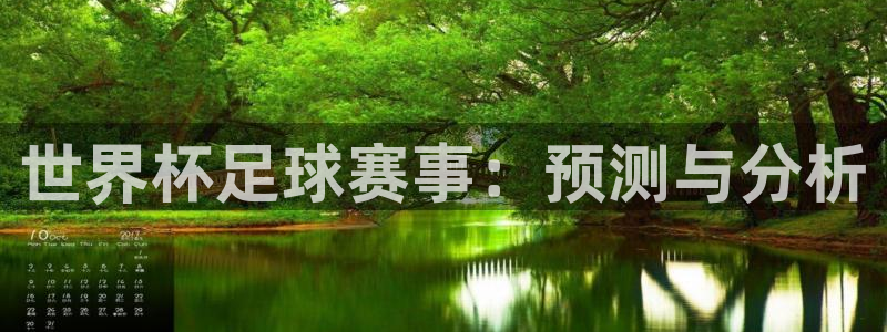 世界杯预赛赛程:世界杯足球赛事:预测与分析